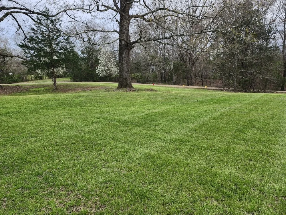 Affordable landscape installation experts serving Terry, MS - RJ Landscape