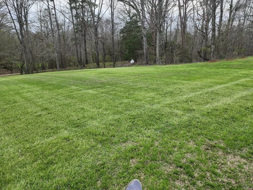 Expert yard cleanup service for outdoor upgrades across Terry, MS - RJ Landscape