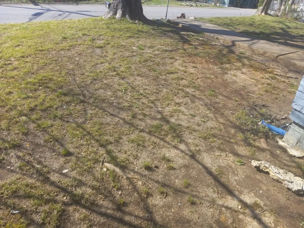 Top-rated outdoor landscaping in Clarksville, TN by R&J Landscaping and Handyman