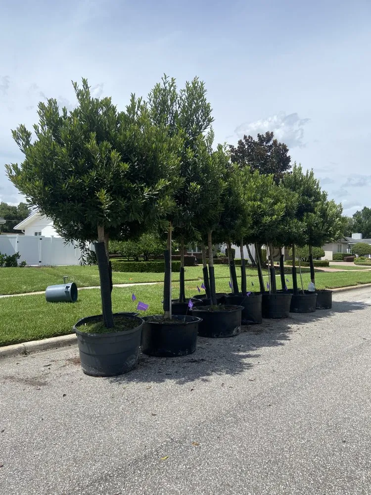 Local landscaping services in Edgewood, FL by R&J Landscaping Services