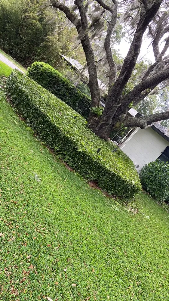 Top-rated lawn care service experts serving Edgewood, FL - R&J Landscaping Services