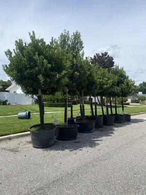 R&J Landscaping Services