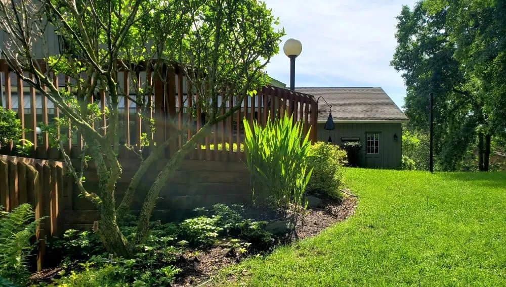 Reliable yard cleanup service near you across Farmington, NY - RJ Lawn and Landscape