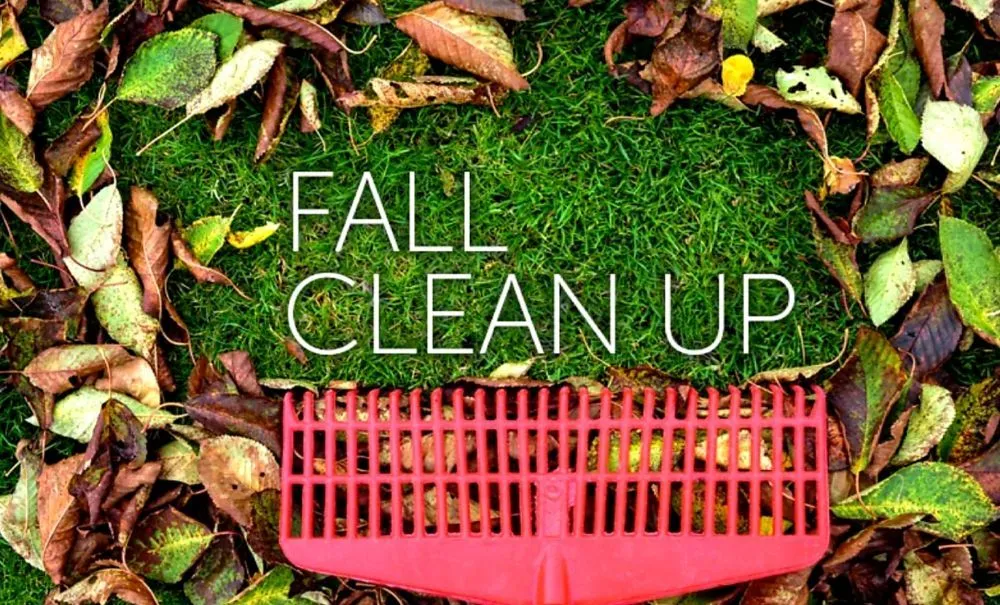 Reliable landscaping services for outdoor upgrades in Farmington, NY by RJ Lawn and Landscape