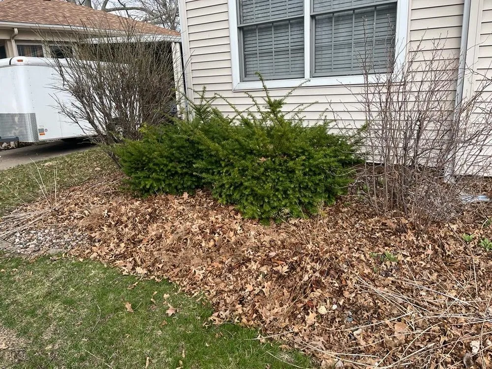 Custom residential landscaping experts serving Muscatine, IA - R&J Lawn Care and Cleaning