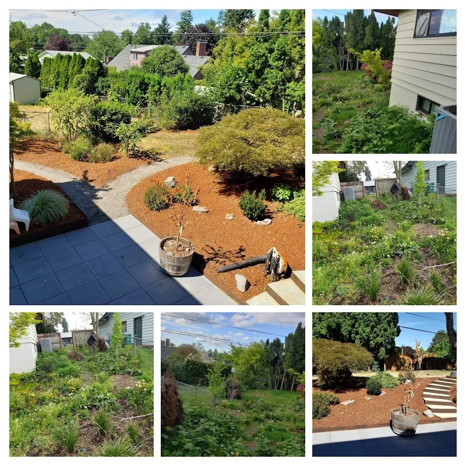 Trusted outdoor landscaping for year-round maintenance across Portland, OR - RJ Lawn Maintenance