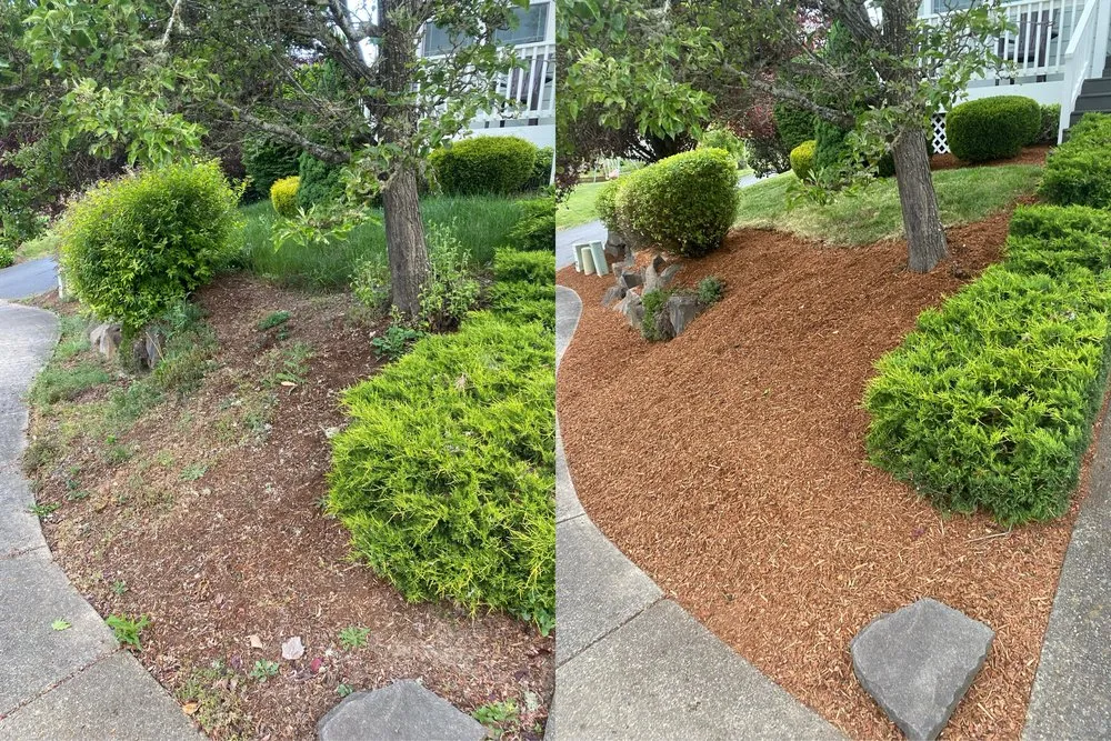 Trusted residential landscaping experts serving Salem, OR - R&J Lawn Maintenance