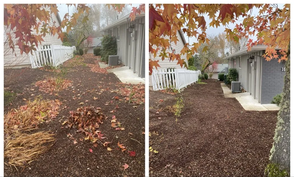 Professional yard maintenance experts serving Salem, OR - R&J Lawn Maintenance