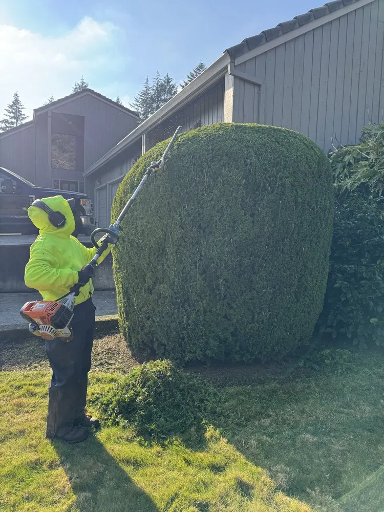 Expert residential landscaping experts serving Salem, OR - R&J Lawn Maintenance