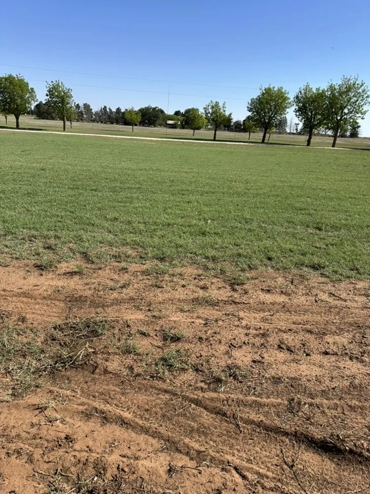 Top-rated landscaping services in Brownfield, TX - RJ Lawn Service