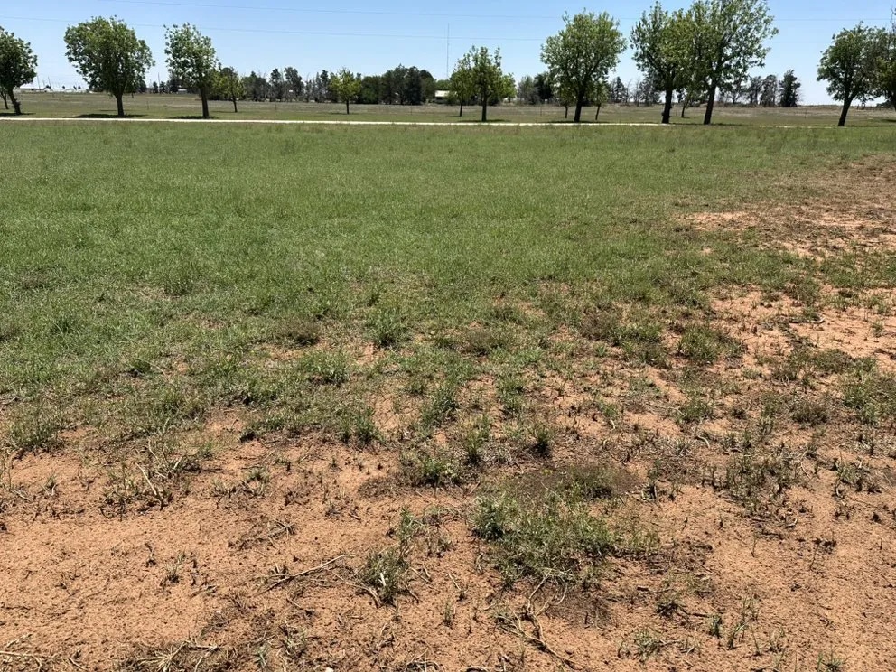 Expert yard maintenance in Brownfield, TX - RJ Lawn Service