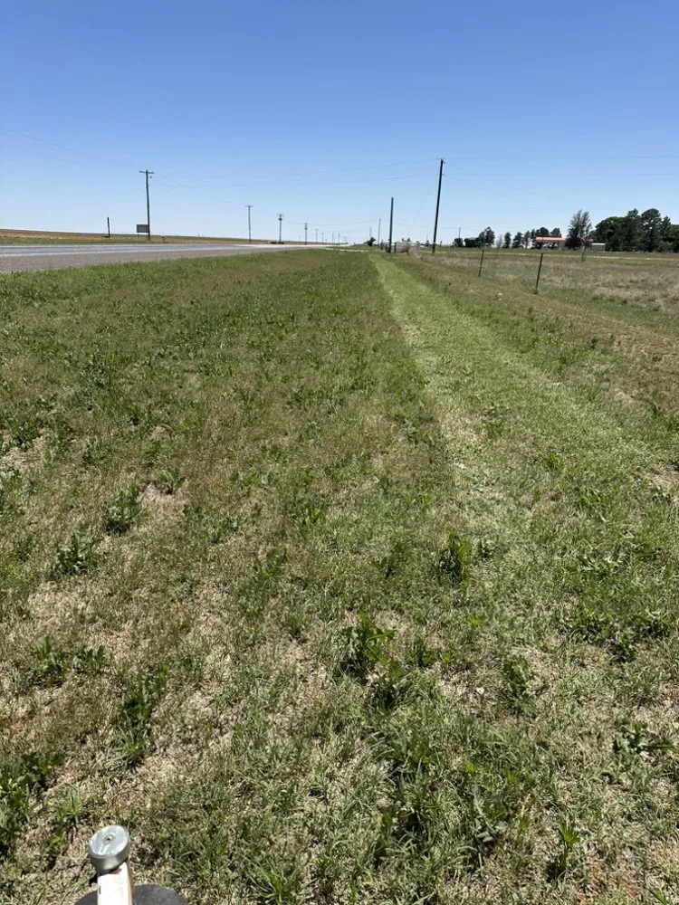 Professional residential landscaping for beautiful yards across Brownfield, TX - RJ Lawn Service