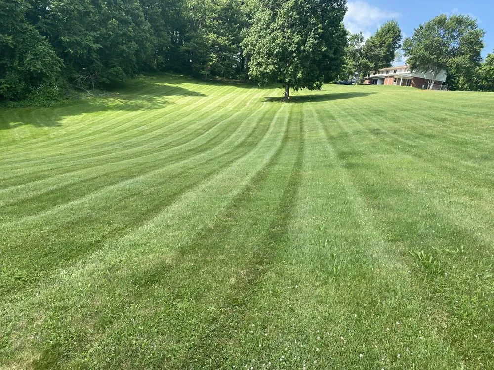Affordable lawn mowing service in Midland, PA by R&J Lawn service