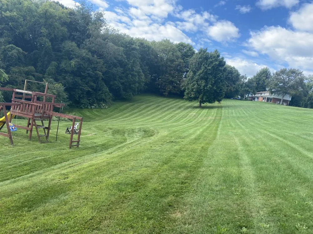 Trusted yard cleanup service in Midland, PA - R&J Lawn service