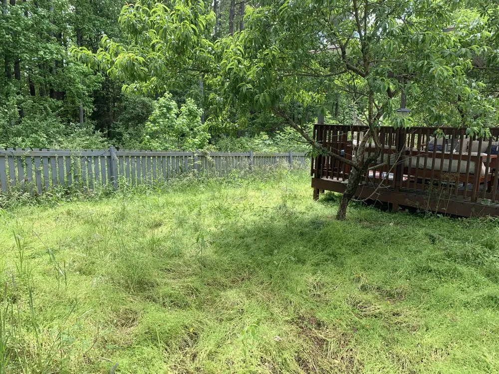 Top-rated landscape design in Franklinton, NC - R&J Lawncare