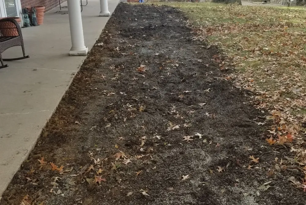 Trusted lawn care service in Dayton, KY by RJ Lawns