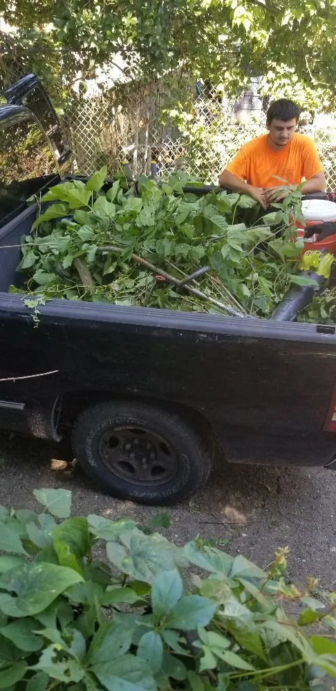 Top-rated lawn mowing service near you across Dayton, KY - RJ Lawns