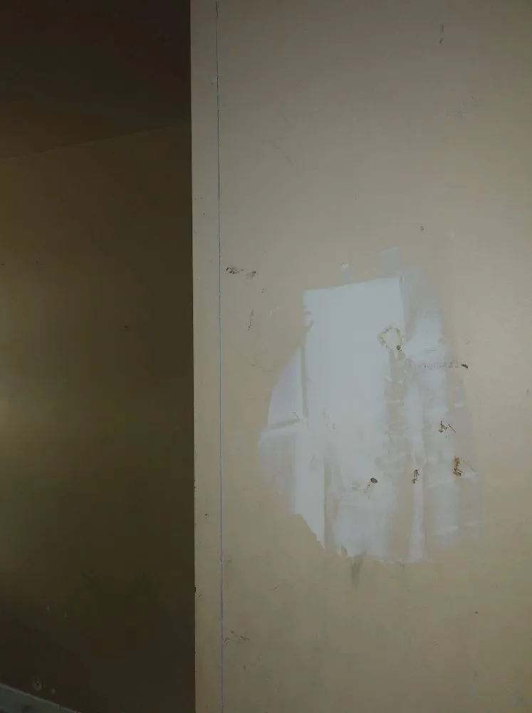 Expert landscaping services for homes across Dayton, KY - RJ Lawns