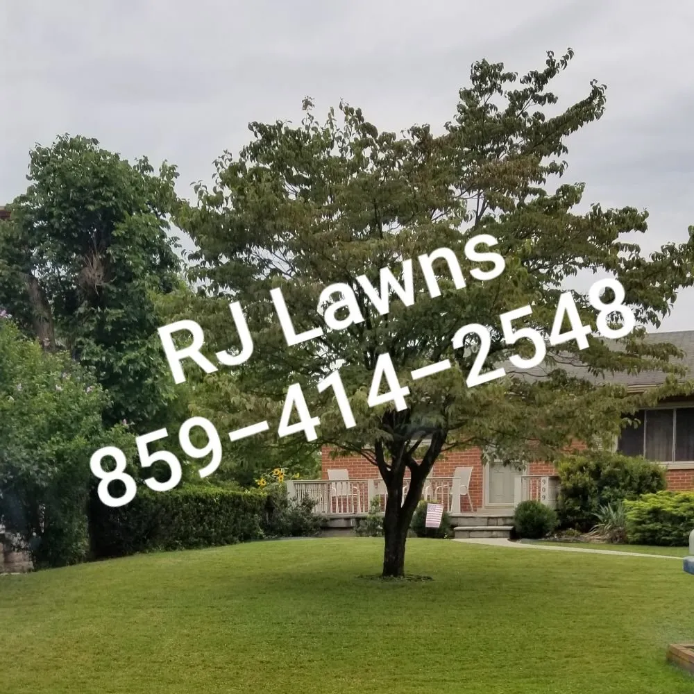 Local residential landscaping in Dayton, KY by RJ Lawns