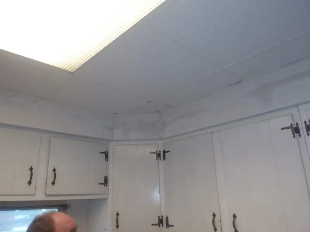 Top-rated landscaping services for year-round maintenance across Dayton, KY - RJ Lawns