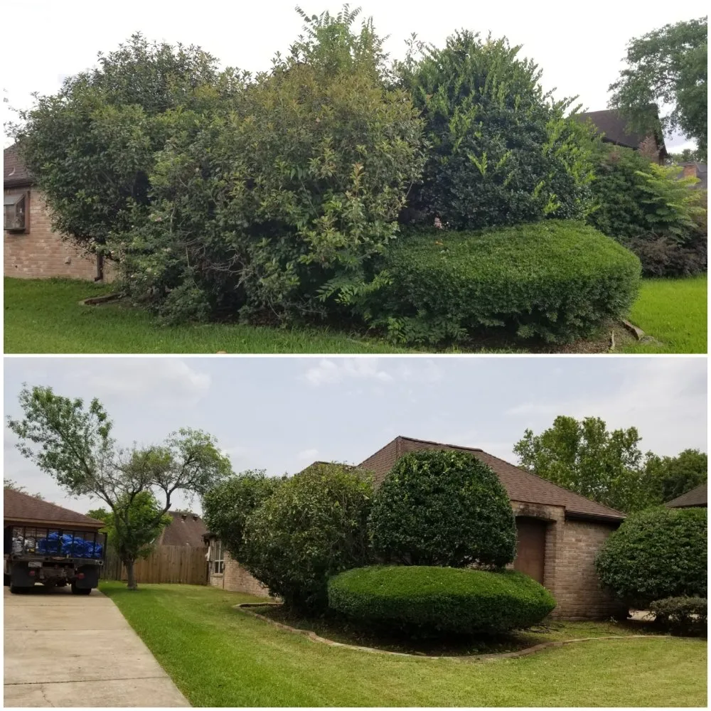 Custom residential landscaping for beautiful yards in Houston, TX by RJ Lopez Services