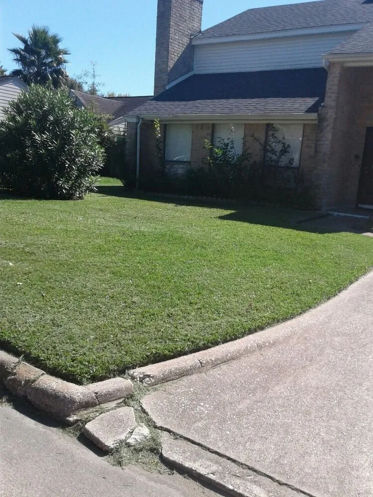 Local landscape design with custom design across Houston, TX - RJ Lopez Services