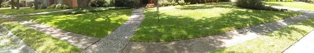 Custom yard cleanup service for year-round maintenance across Houston, TX - RJ Lopez Services