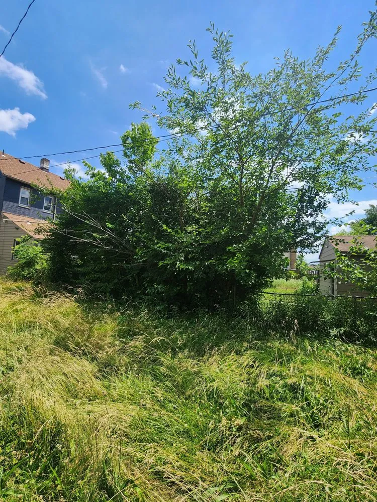 Affordable outdoor landscaping in Dayton, OH by R&J Ramirez Company