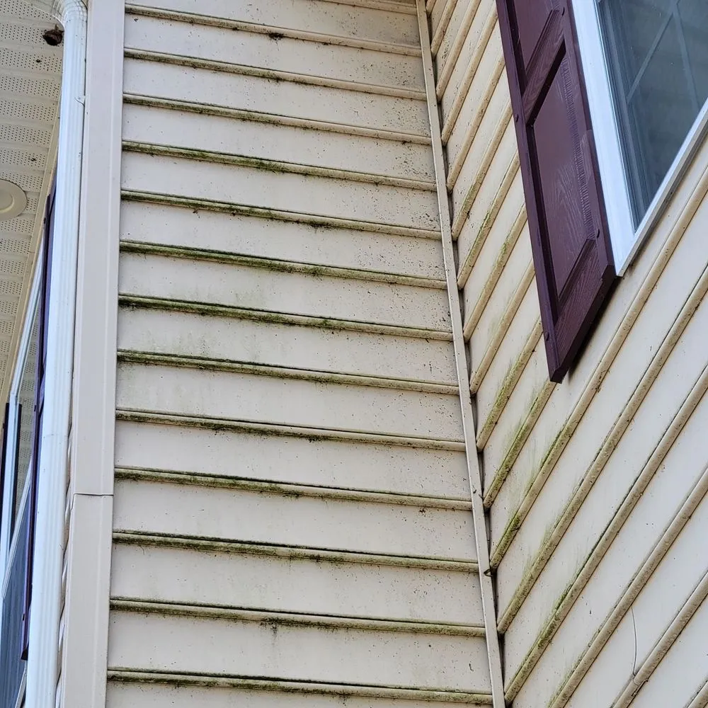 Custom landscape installation for homes in Bensalem, PA by RJ Resolutions