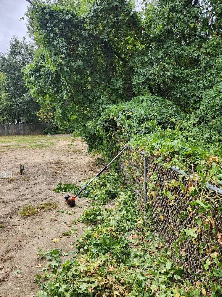 Reliable lawn care service for beautiful yards in Bensalem, PA by RJ Resolutions