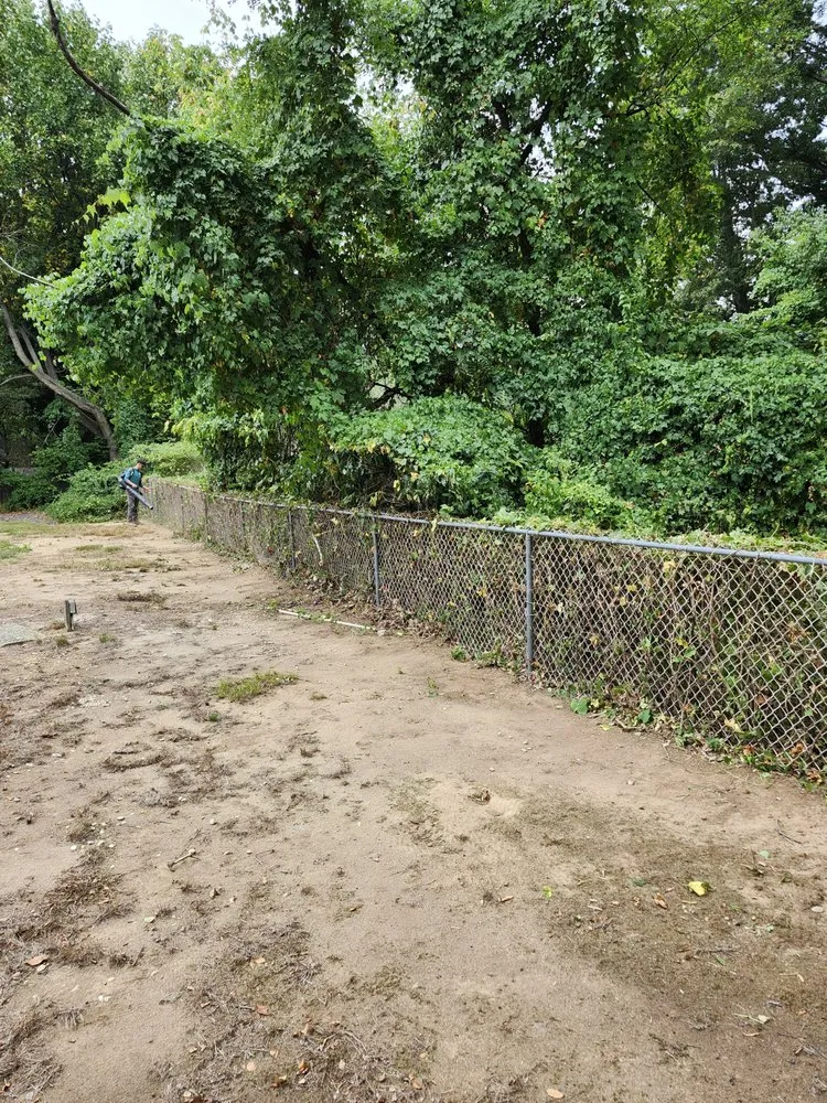 Professional yard cleanup service for year-round maintenance across Bensalem, PA - RJ Resolutions