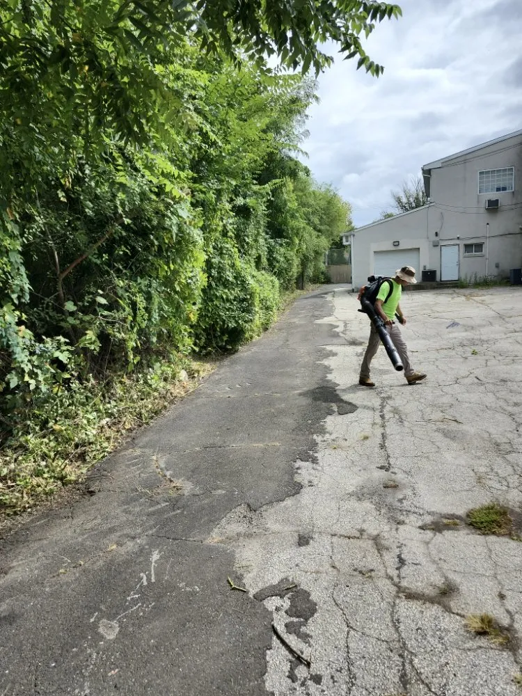 Affordable lawn care service in Bensalem, PA - RJ Resolutions