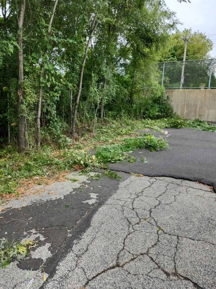 Custom yard maintenance for year-round maintenance in Bensalem, PA by RJ Resolutions