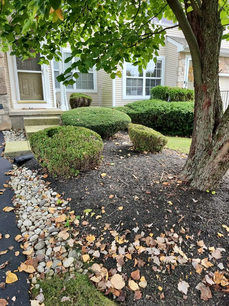 Local yard cleanup service for residential properties across Bensalem, PA - RJ Resolutions