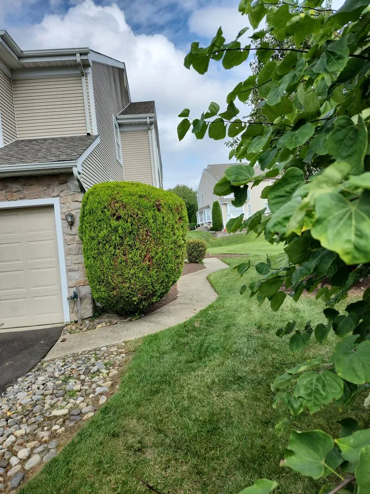 Professional outdoor landscaping in Bensalem, PA - RJ Resolutions