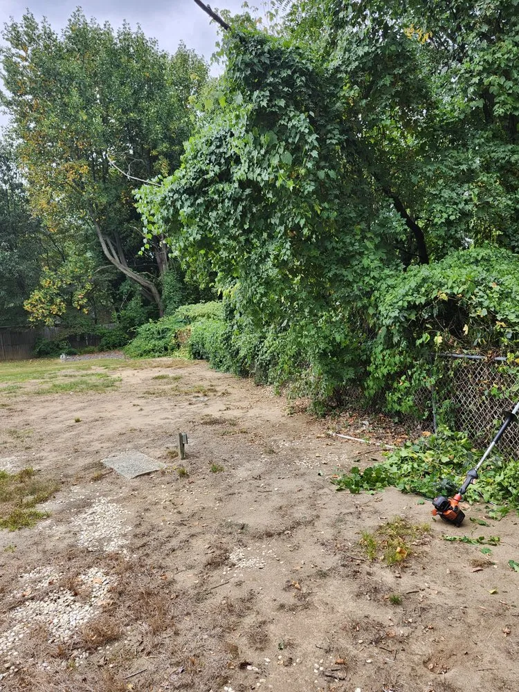 Expert residential landscaping in Bensalem, PA - RJ Resolutions