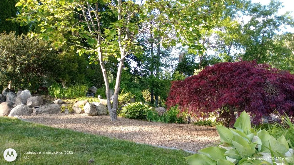 Custom yard maintenance experts serving Lowell, MA - R&J Services