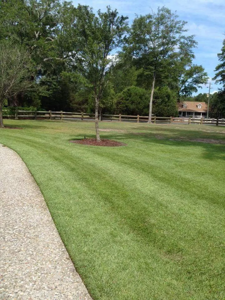 Custom lawn care service in Walterboro, SC - RJ Southern Enterprises INC.