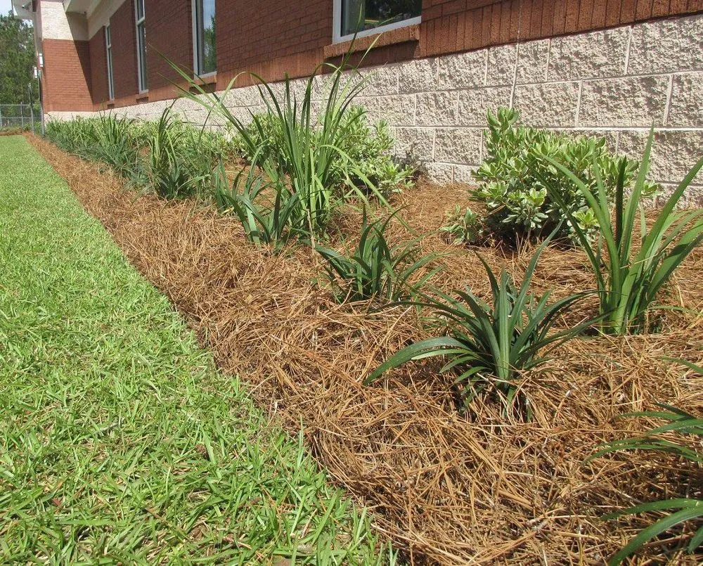 Expert landscape installation in Walterboro, SC by RJ Southern Enterprises INC.