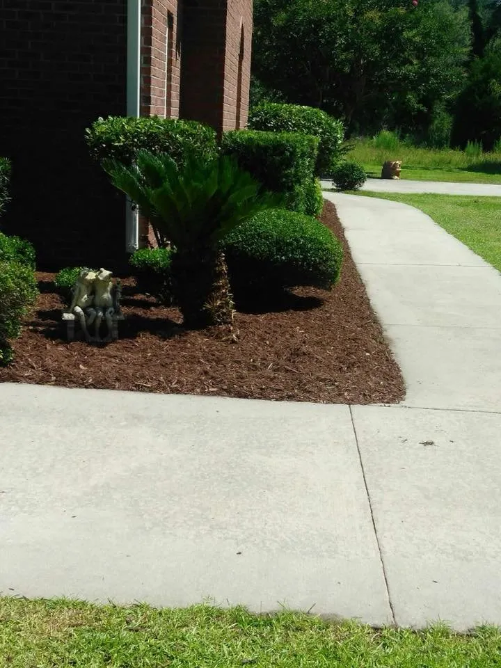 Reliable lawn mowing service for residential properties across Walterboro, SC - RJ Southern Enterprises INC.