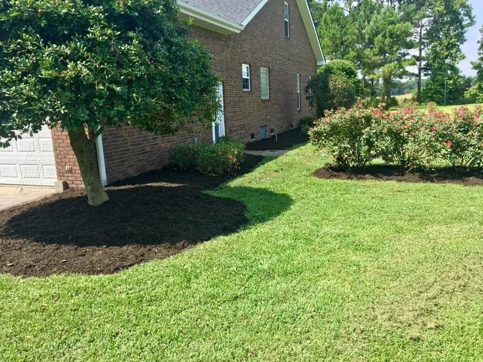 Professional yard cleanup service for homes in Walterboro, SC by RJ Southern Enterprises INC.