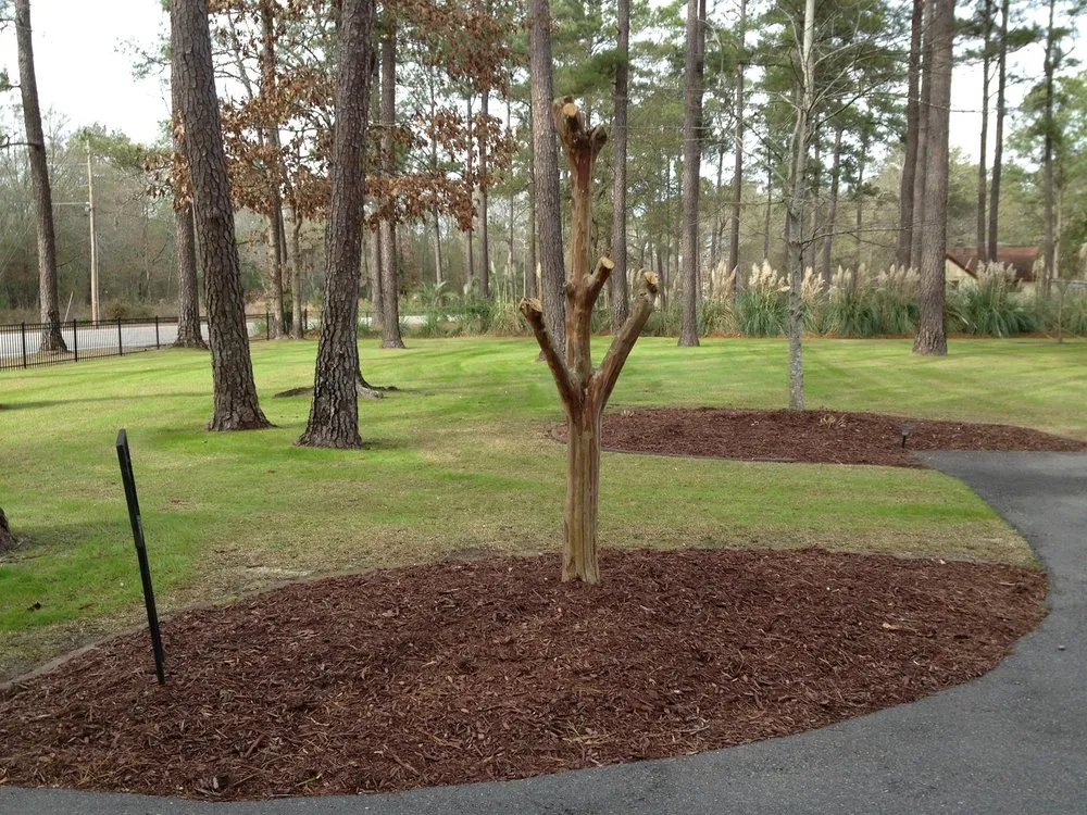Custom yard cleanup service experts serving Walterboro, SC - RJ Southern Enterprises INC.