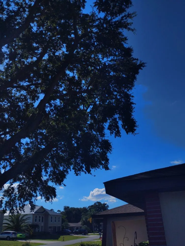 Local garden landscaping with custom design across Palm Bay, FL - R&J Tree Service and Landscaping