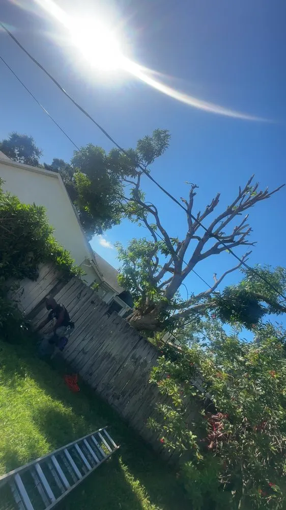 Custom outdoor landscaping experts serving Palm Bay, FL - R&J Tree Service and Landscaping