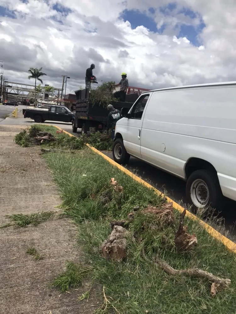 Custom lawn mowing service experts serving Honolulu, HI - R&J Yard and Maintenance Service