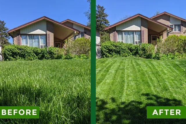 Professional garden landscaping in Reading, PA by Rjb