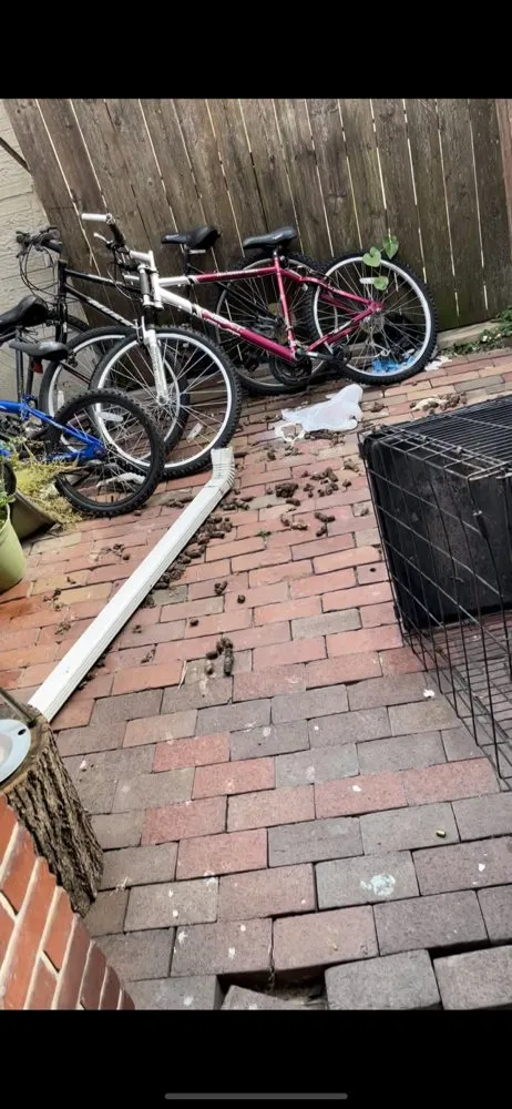 Expert lawn care service in Reading, PA by Rjb