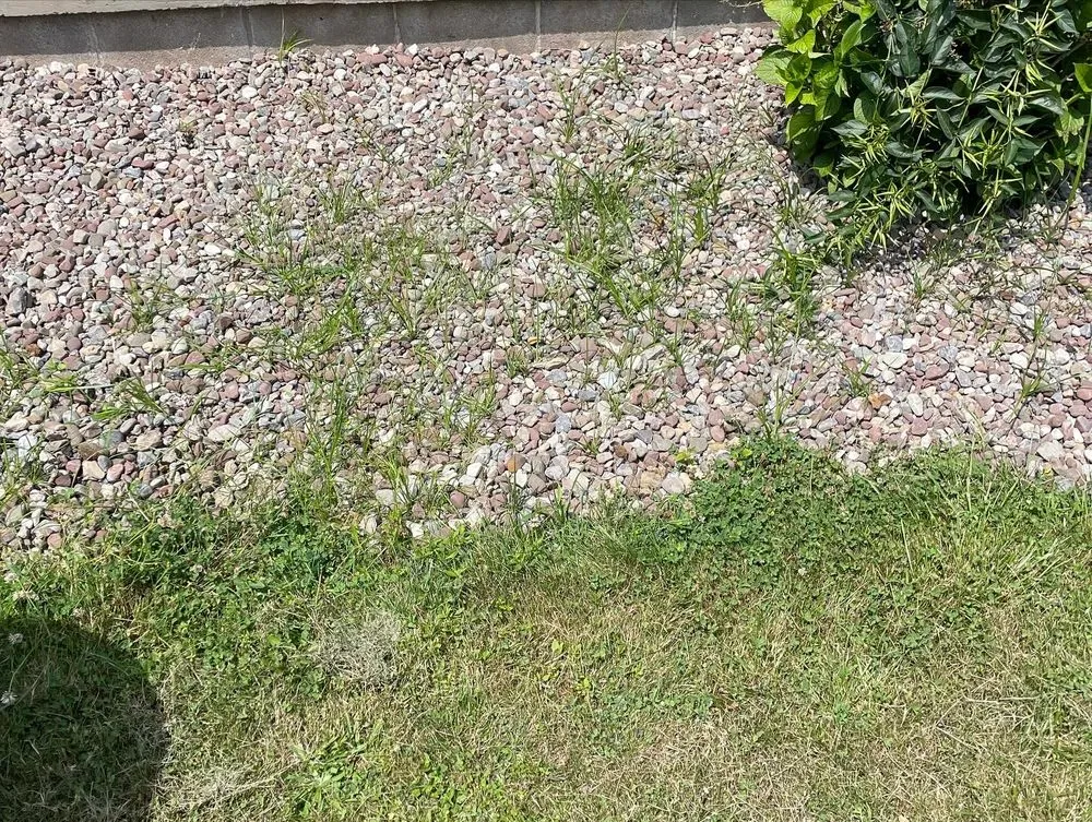 Top-rated residential landscaping in Webster, NY by RJC Handymen