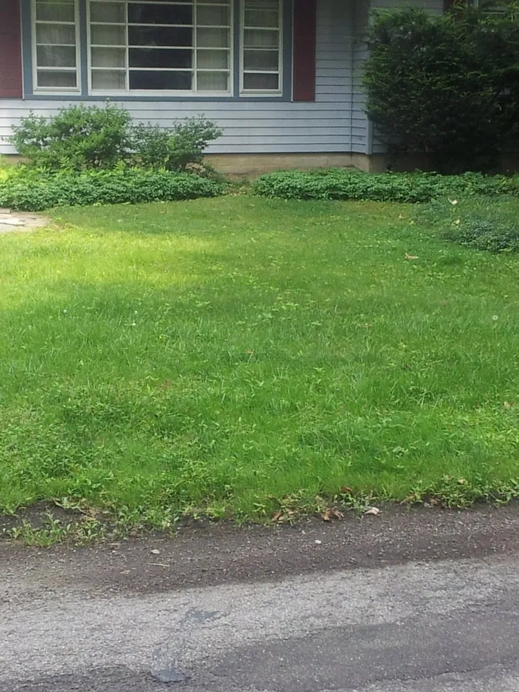 Local landscaping services in Timberlake, OH - RJH Lawn Care