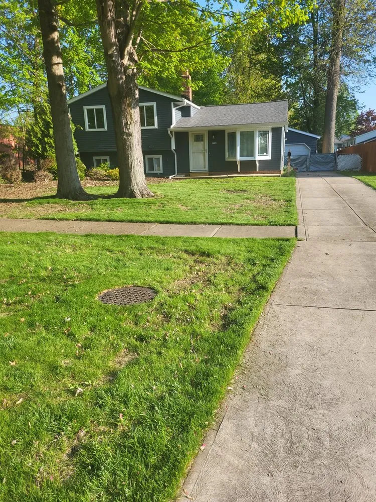 Reliable yard cleanup service for residential properties in Timberlake, OH by RJH Lawn Care